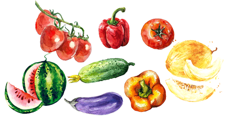 pack de caricaturas de hortalizas ecológicas