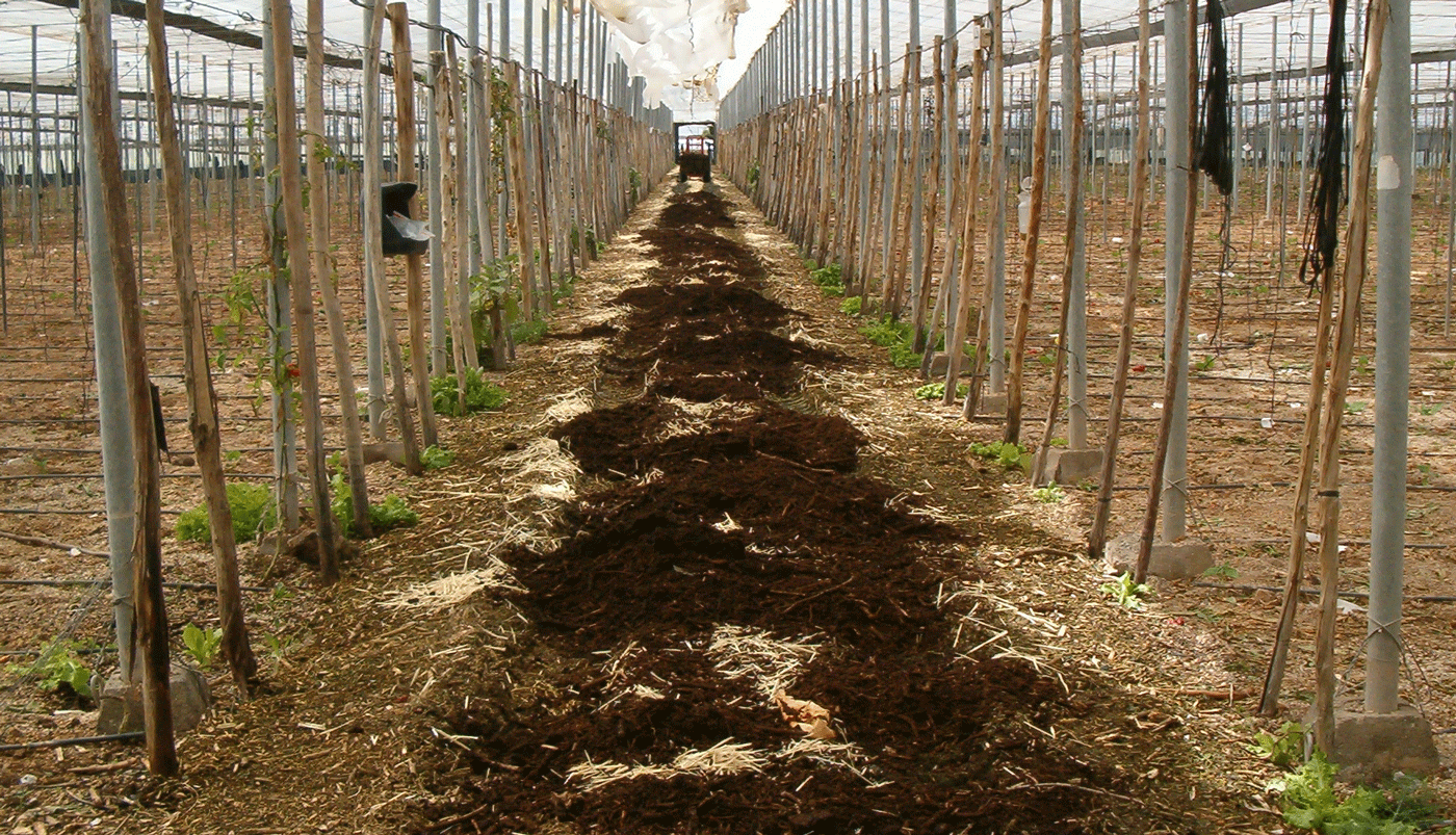 proceso elaborado de compost en el pasillo del invernadero