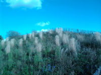 Photo0765