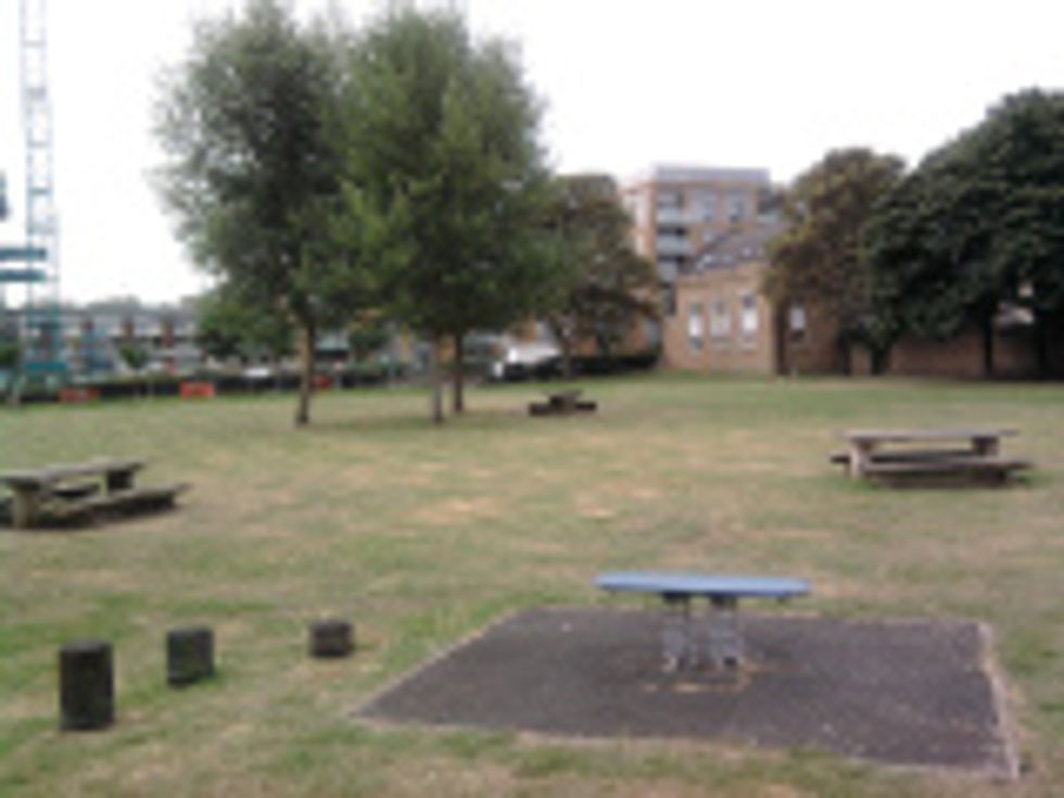 Photo0025 (2)