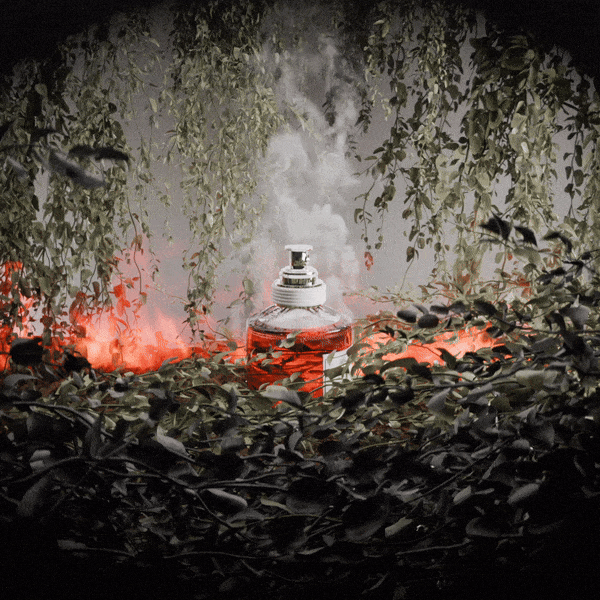 ReplicaperfumeSpecAd-Worcester-ezgif.com-optimize.gif