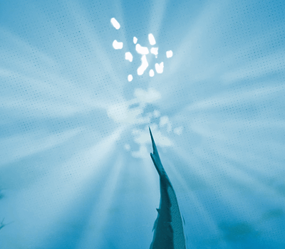 SocialAnimation-Underwaternobubbles-ezgif.com-video-to-gif-converter (4).gif