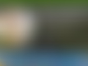 2024年6月26日 大阪市総合教育センター第1回シナジーセミナーに登壇しました