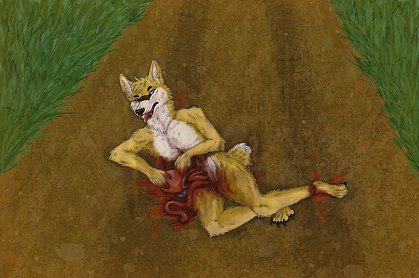 Roadkill Coyote valmis 2018.png