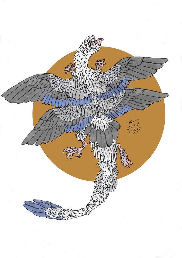 monet siivetMUOKATTU2018.jpg