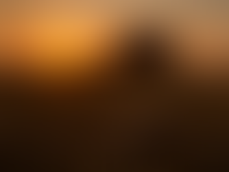 A wooden Serbian-style crucifix lies flat on the stubble of a harvested field at sunrise while a red combine harvester passes nearby, kicking up a small cloud of dust in the warm golden light.