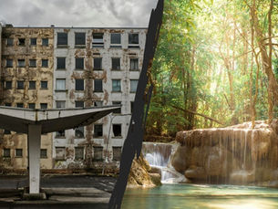 🕊️ When Our Minds Are Purified