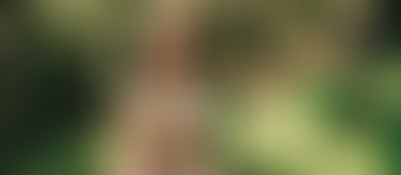 Understanding Self-Care: Exploring the Spoon Theory through a DBT-Informed Lens