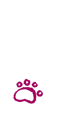 Paw Prints.gif