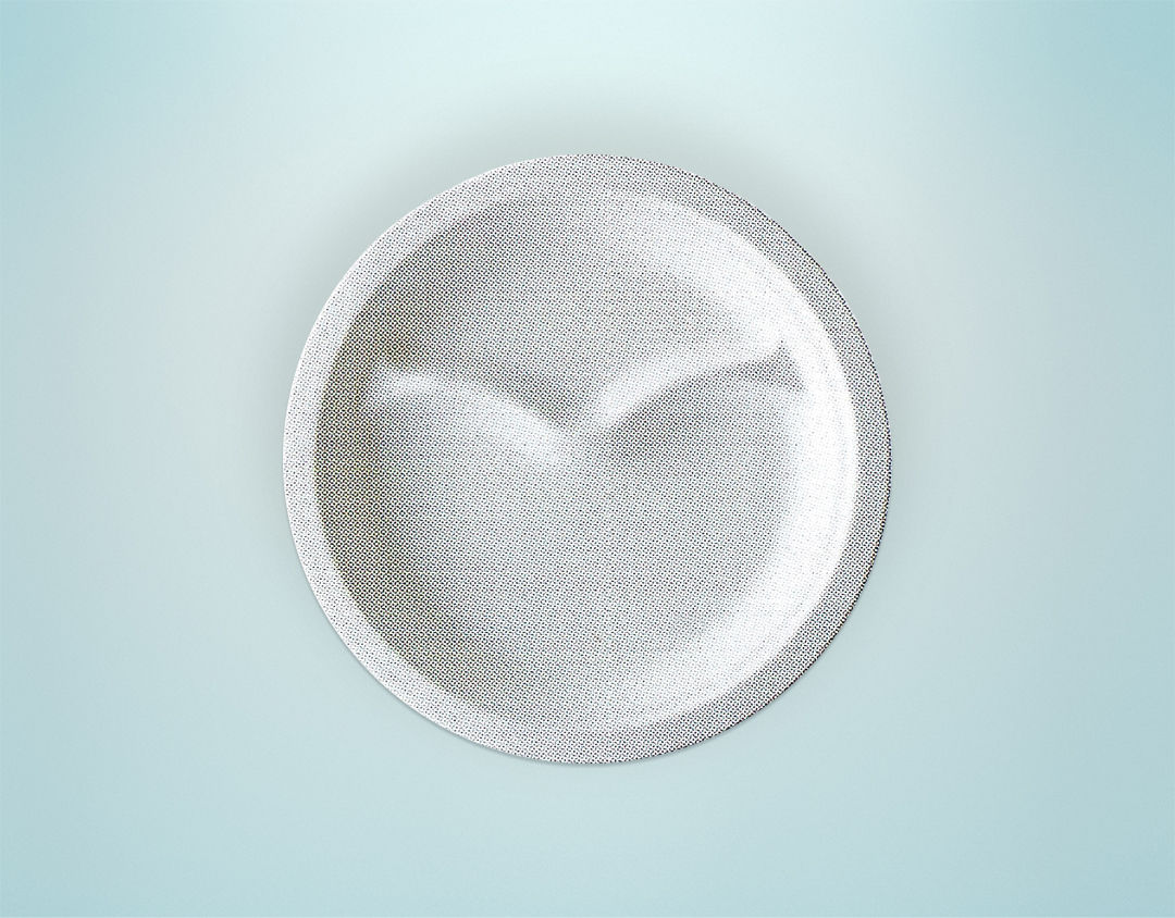 Compostable Round Plate (2-Compartment Plate)