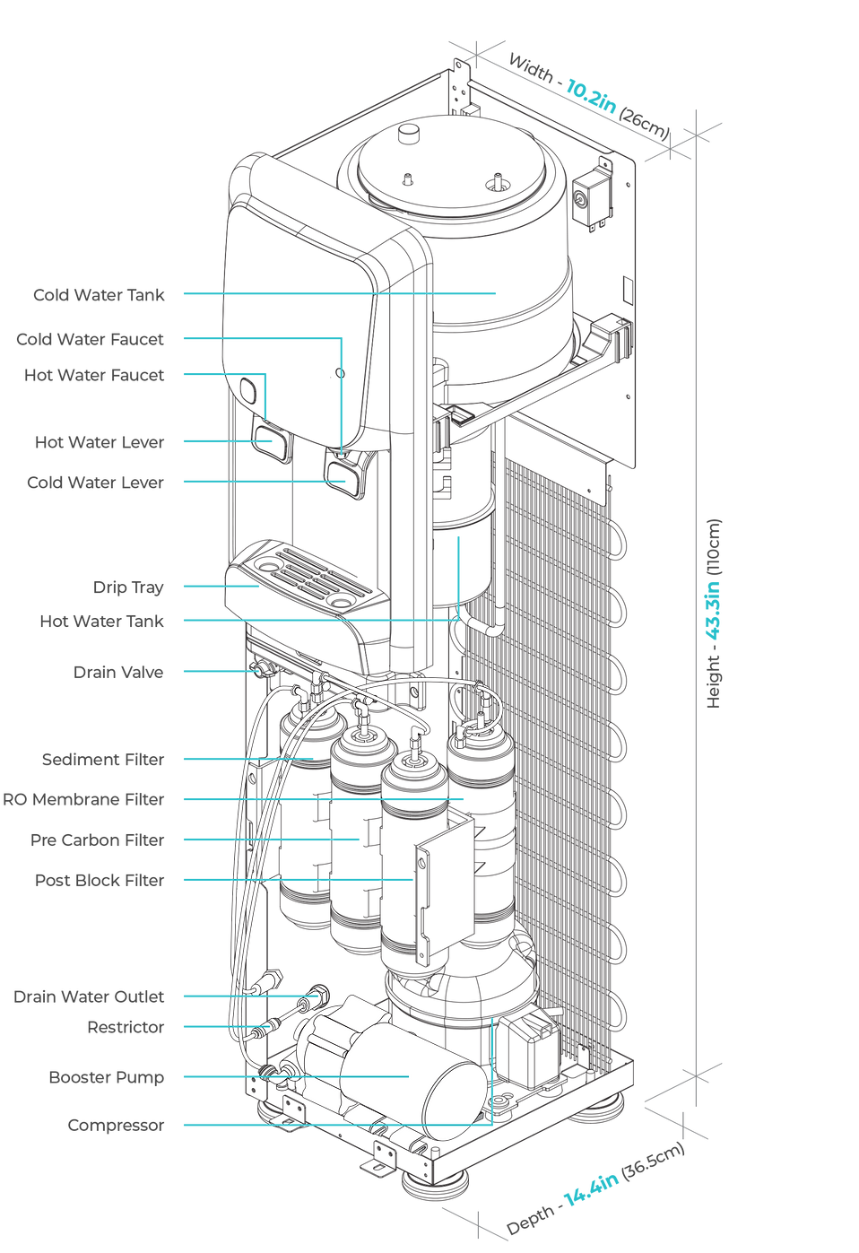 Rontgen RO Drawing Perspective