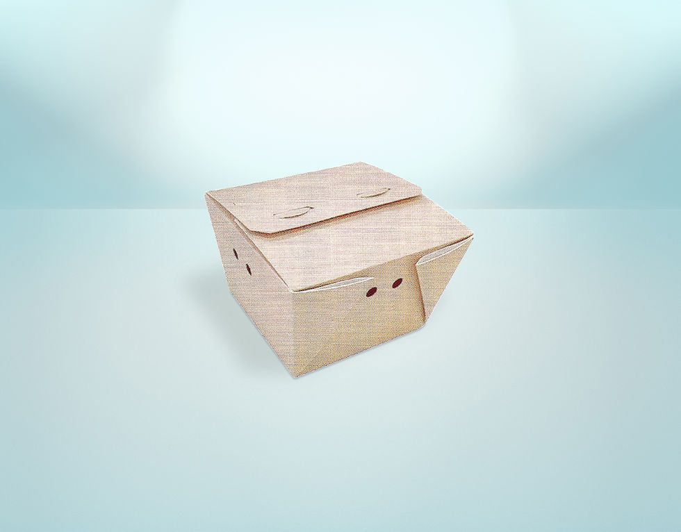 Paper Box (112mm x 147mm x 88mm)