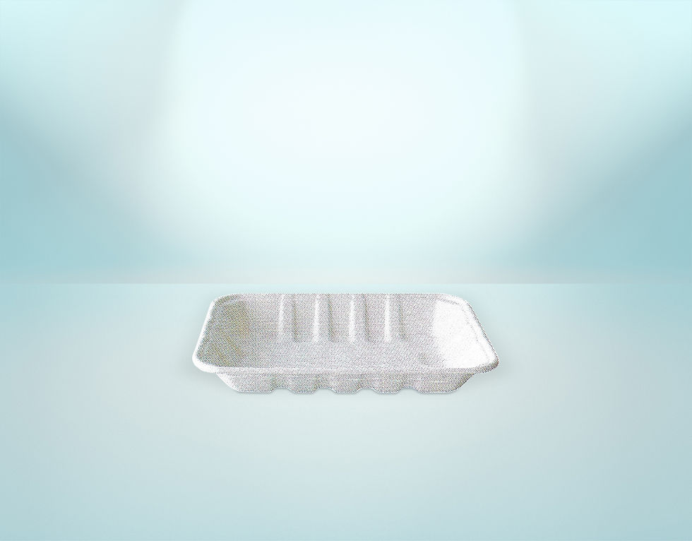 Compostable Fruit / Vegetable / Meat Trays (T034)