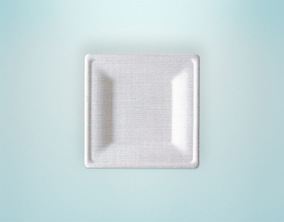Compostable Square Plate (P035)