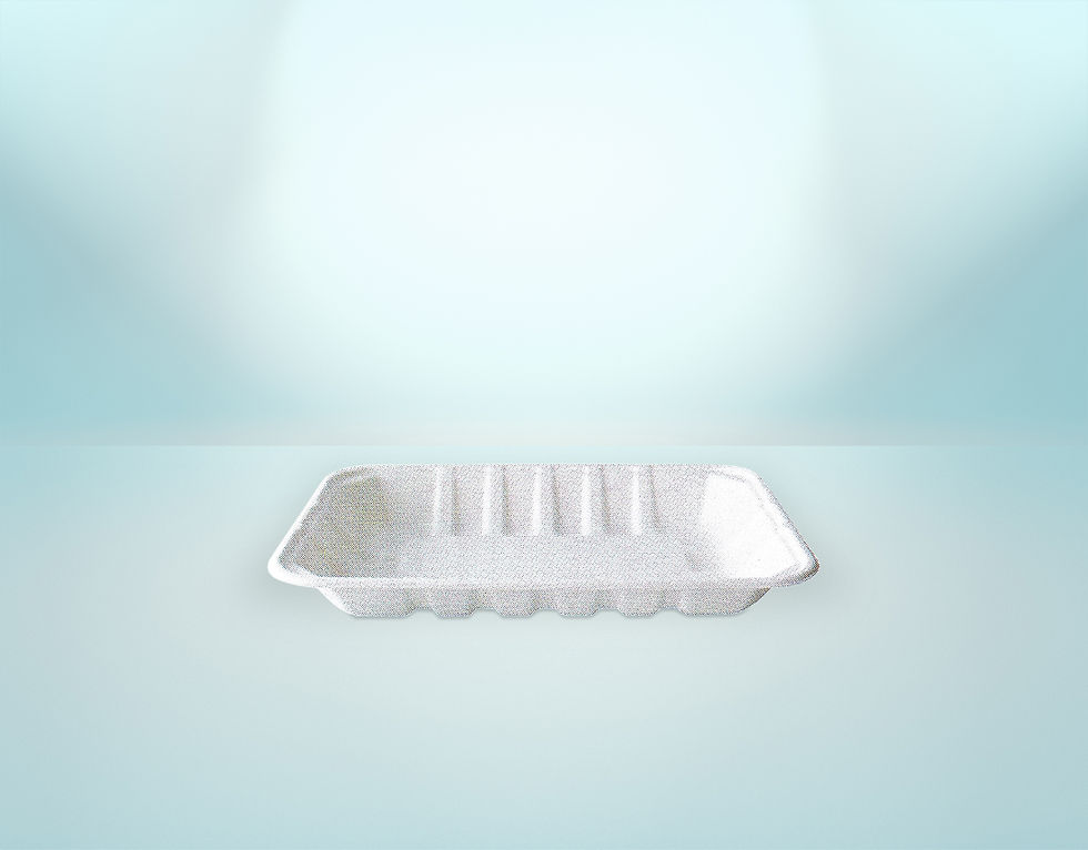 Compostable Fruit / Vegetable / Meat Trays (T039)