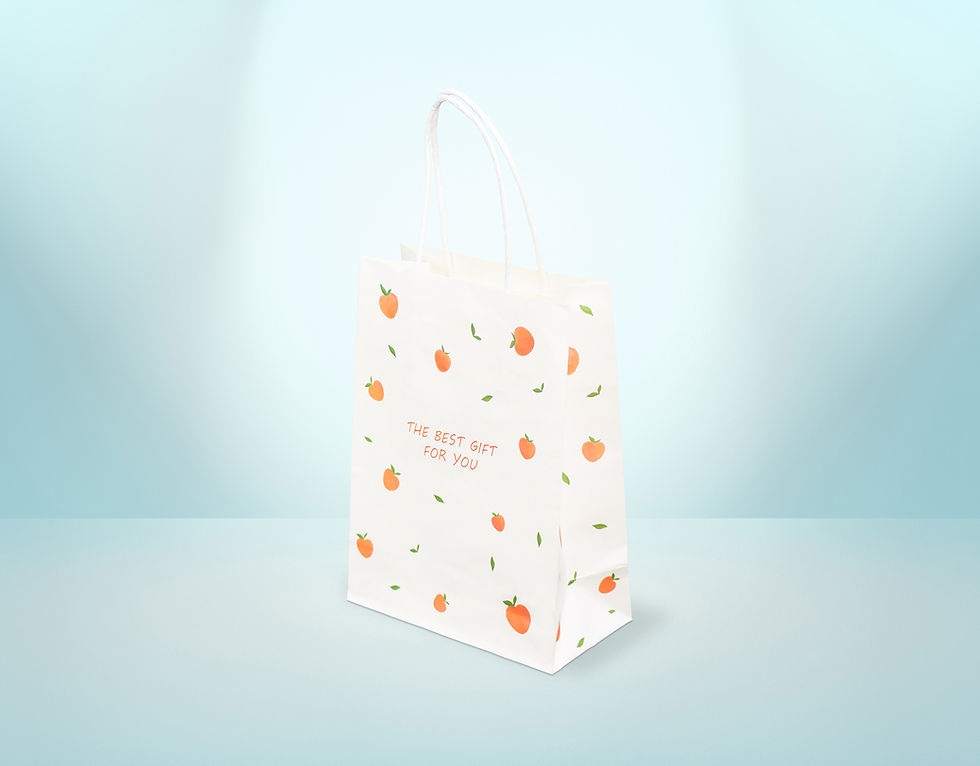 Thick Paper Gift Bag (with Twist Paper Handle)
