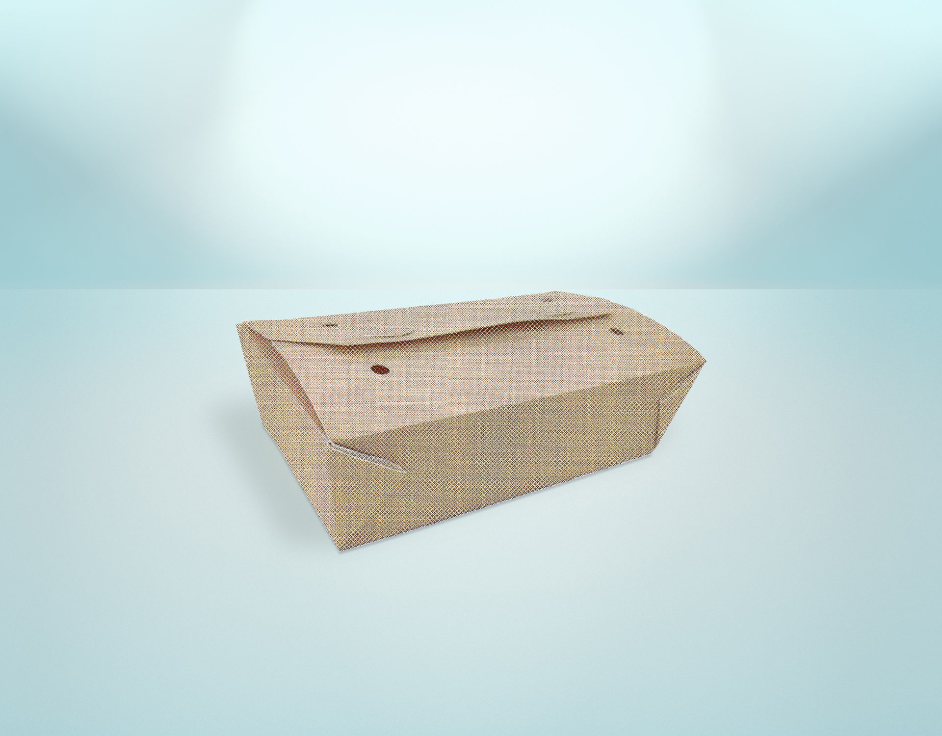 Paper Box (121mm x 220mm x 70mm)