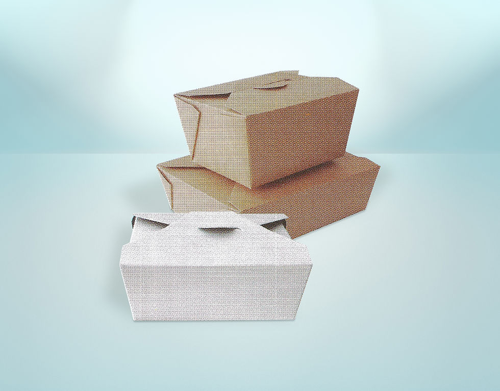 Take Out Box (White / Black / Kraft)