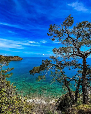 photo_2022-12-17 12.10.56.jpeg