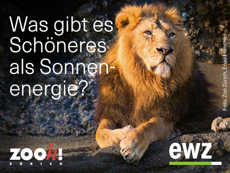 Ermässigte Zooeintritte mit EWZ