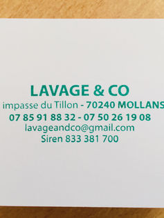 Tampon - Lavage & Co.JPG