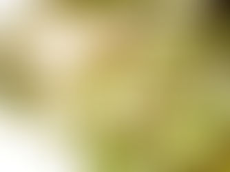 Photocarcinogenesis Explained: The Link Between Light and Skin Cancer