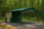 green save.webp