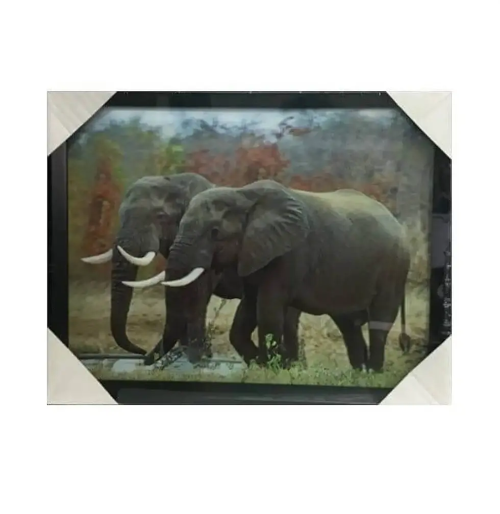 Tableau Éléphant 3D