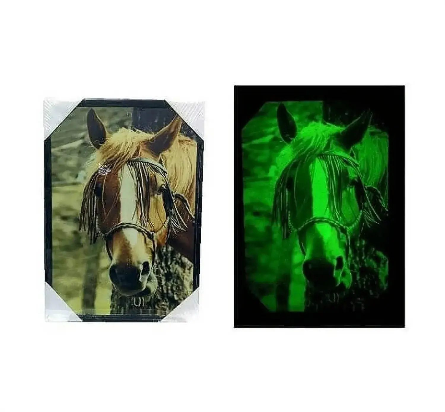 Tableau Cheval phosphorescent