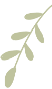 Leaf 4 green.png