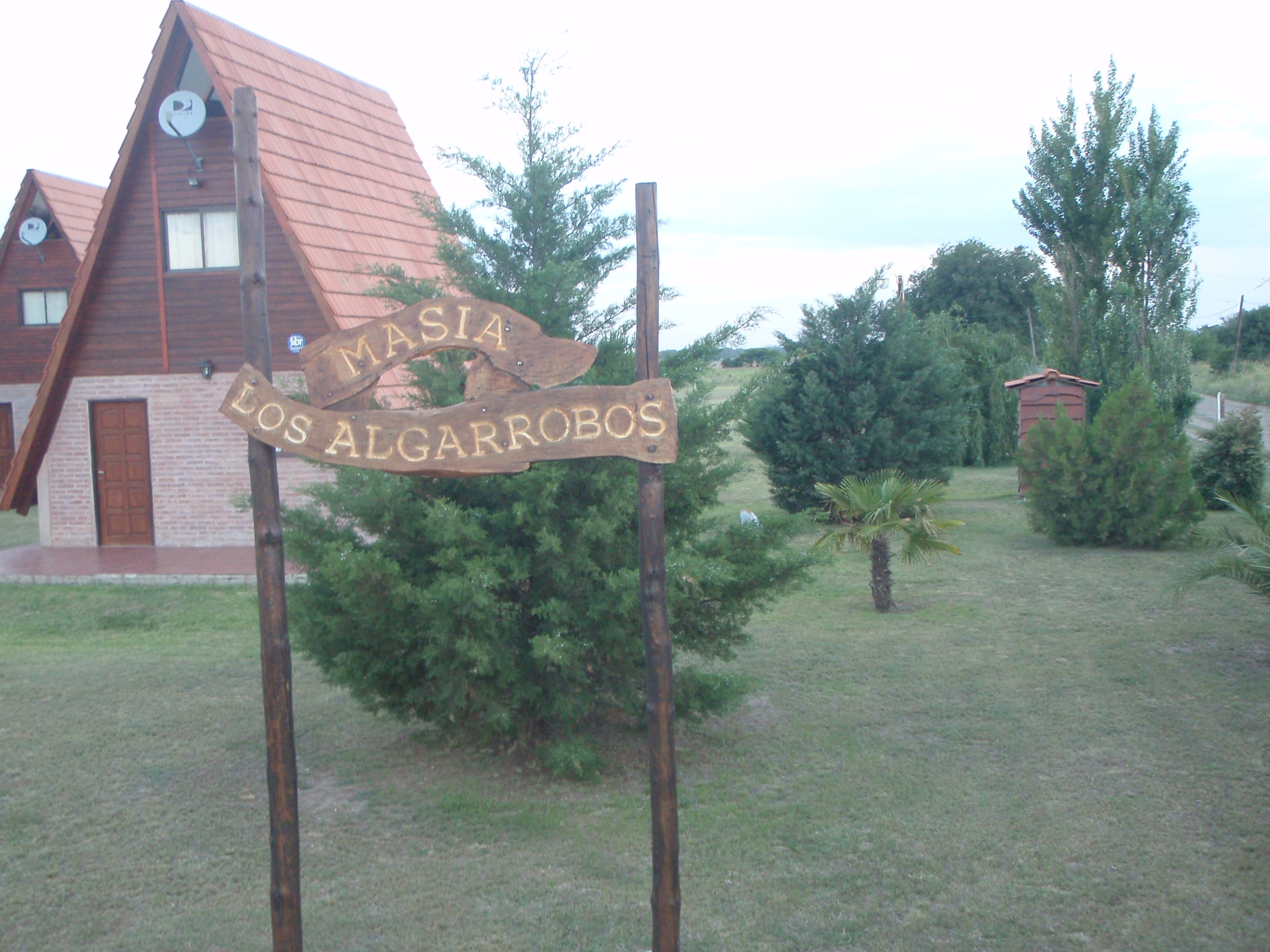 438.JPG