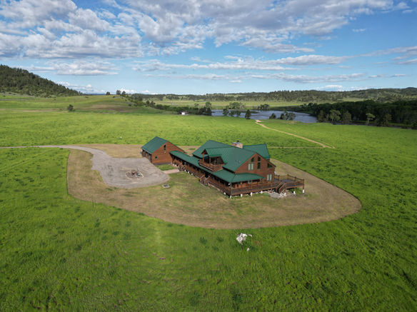 Lush pasture and full of life