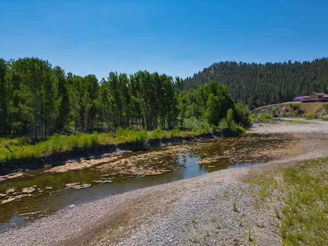 Mid-summer on the river