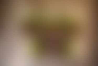 Marinated Steak with Broccoli & White Rice