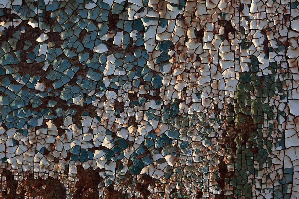 Lose Yourself | By: Barb Cobb