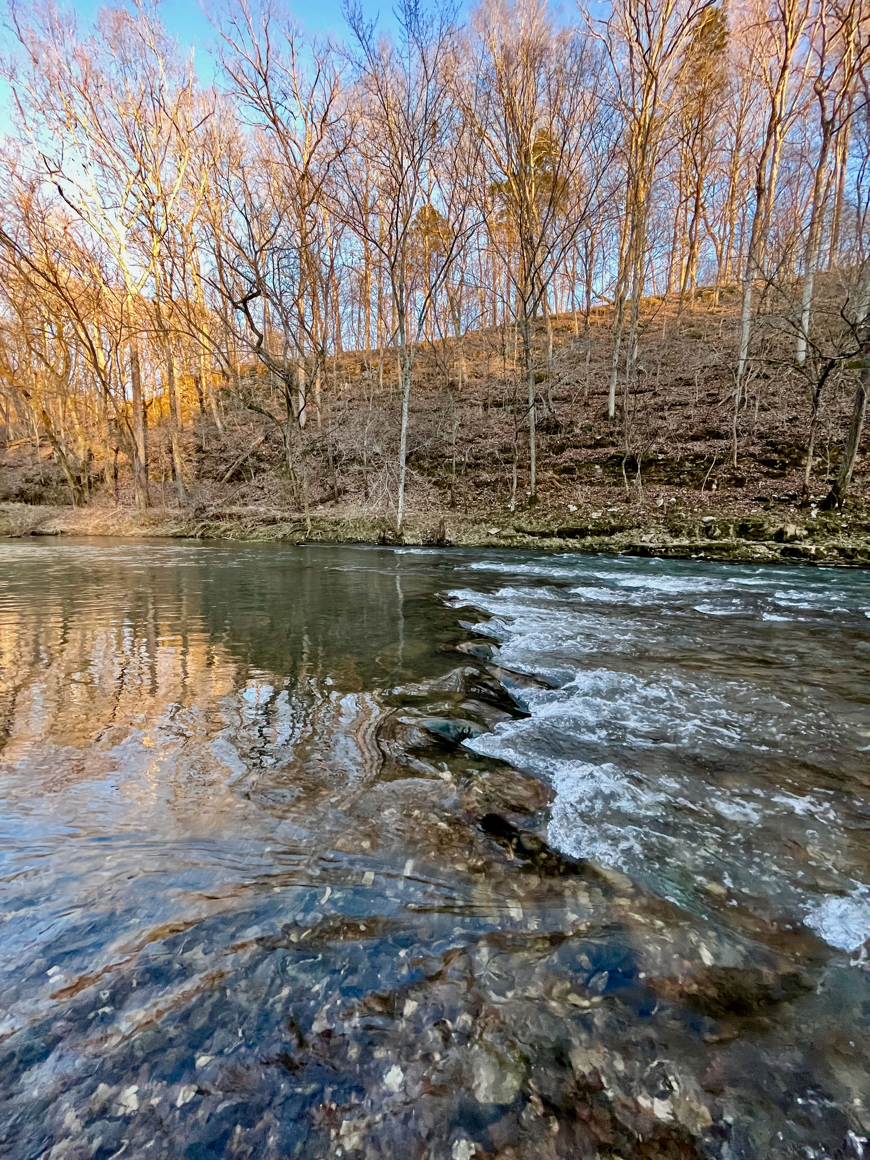 West Fork Creek | By Victoria Keith