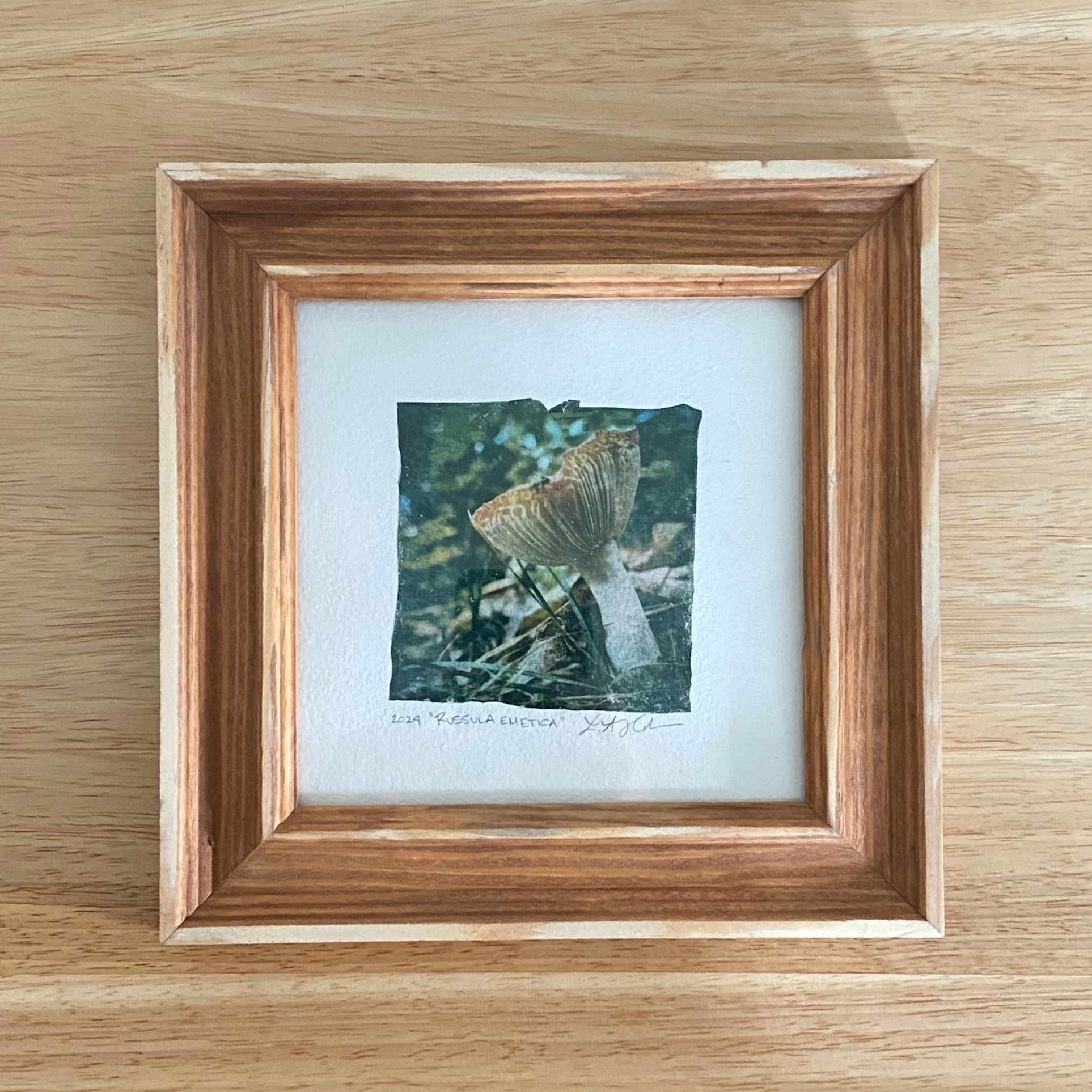 Russula Emetica #1 | By Lisa "LAH" Harden