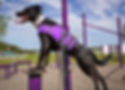 s189492086729443118_p50_i1_w2048.jpeg