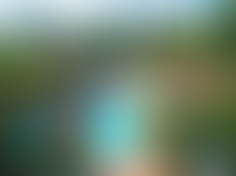 Southeast Asia-focused hostel chain Mad Monkey eyes Hong Kong as it looks to open 50 properties over