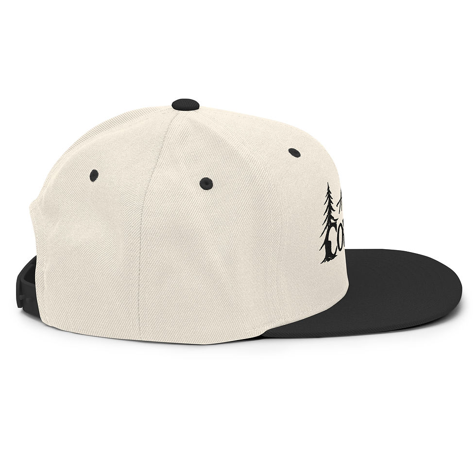 Miniature : Snapback Hat