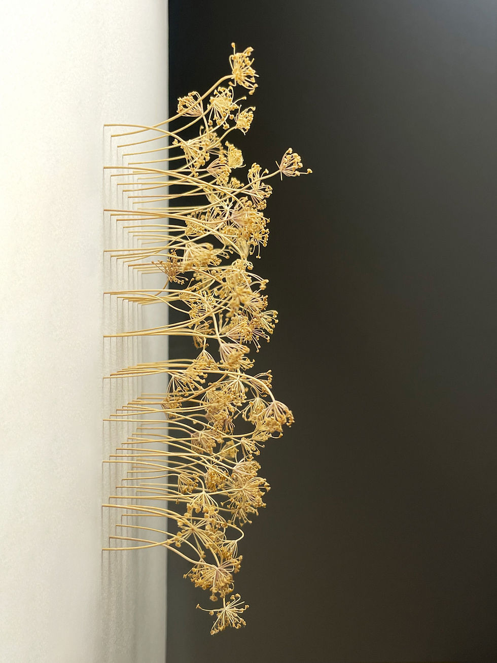 Détail d’un tableau végétal contemporain en graines de fenouil, forêt poésie, œuvre botanique MAISON NAUX, artiste à Bruxelle