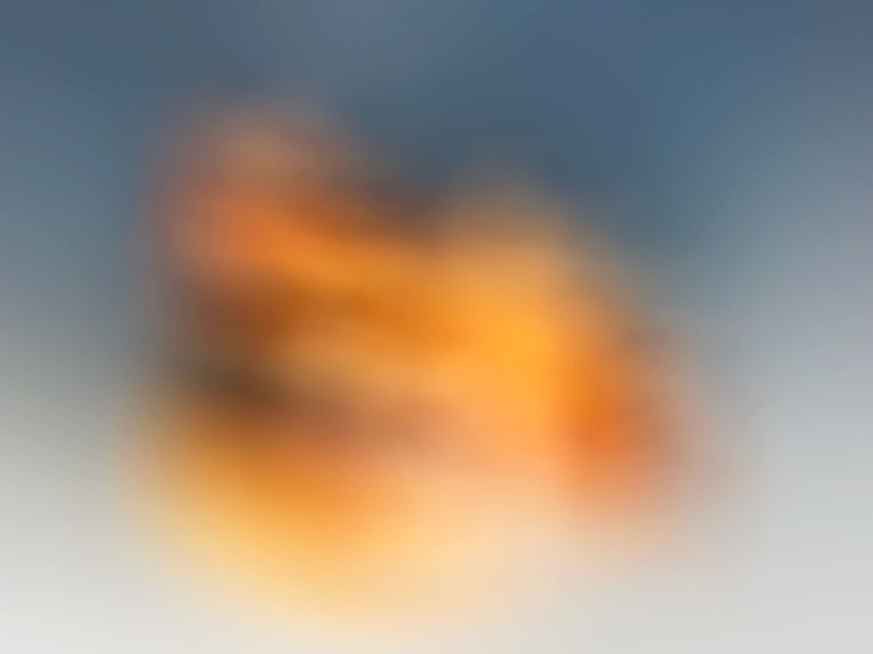 Photographie botanique d’art – composition poétique inspirée du monde végétal.