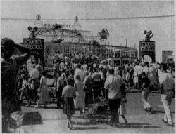 Schiff Wild Mouse at North Carolina Stat