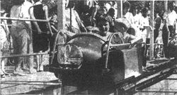 18156624_10208731969558441_4817608851804