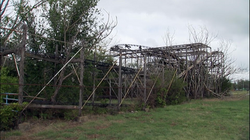 Schiff mouse on American Pickers (2013).