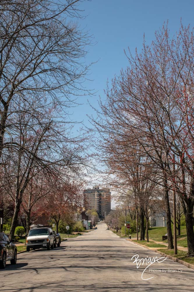 Samuel Shepard Drive (4233)