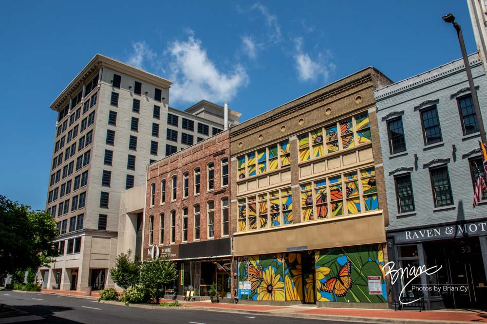 Broadway Mural Project (0170)