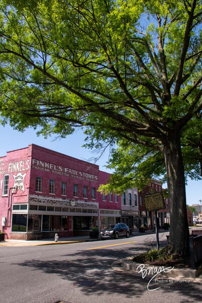 Finkel's Fair Stores (9684)