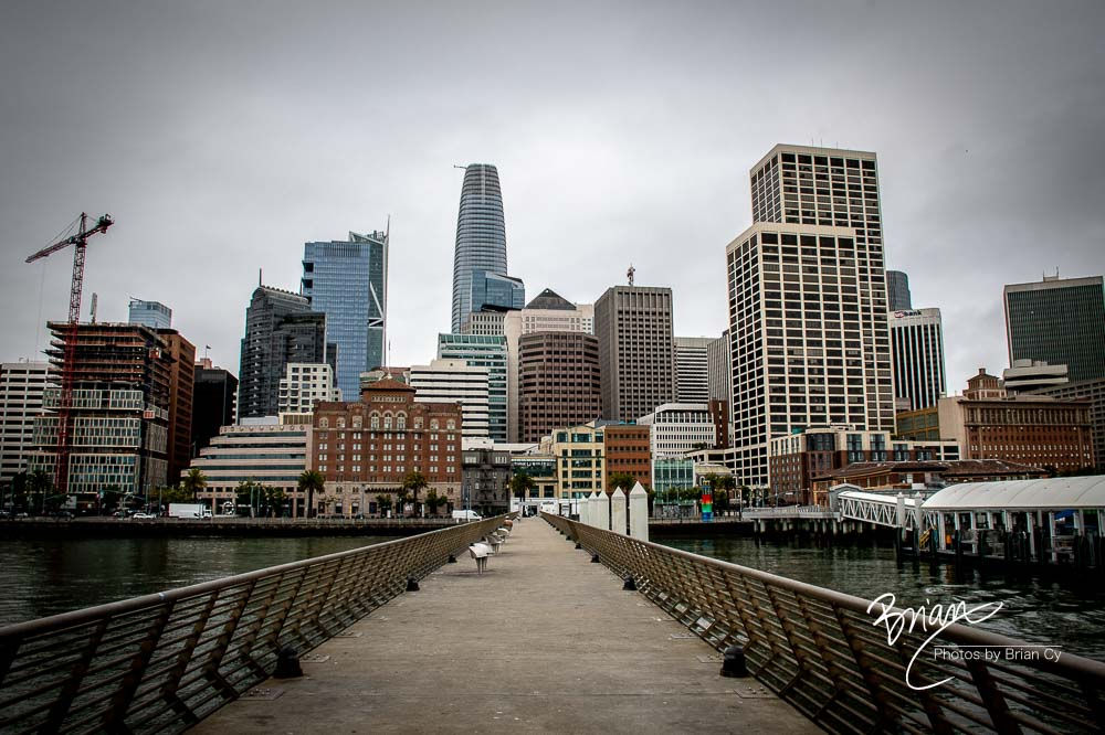 San Francisco Skyline (7561)