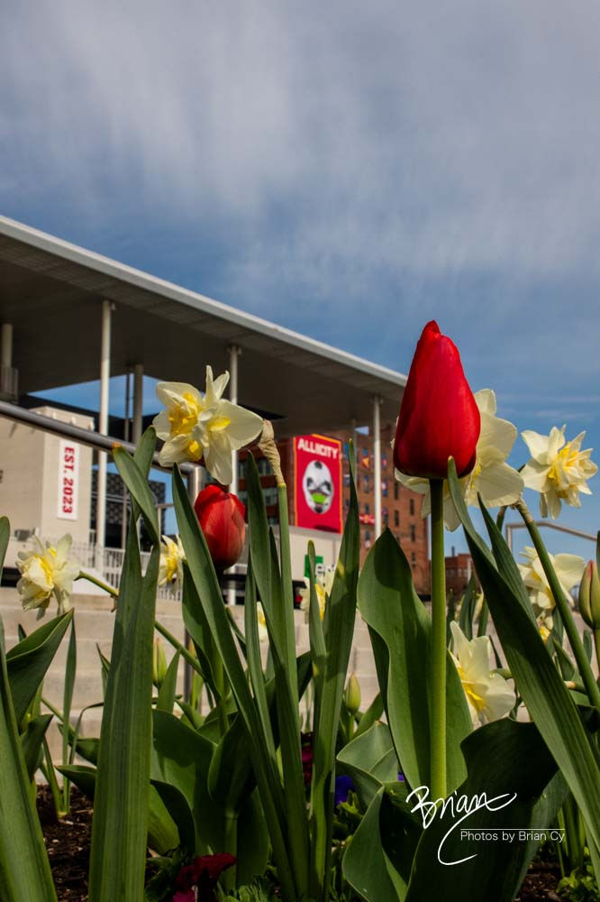 Spring Garden at Lou Fusz Stadium (3263)
